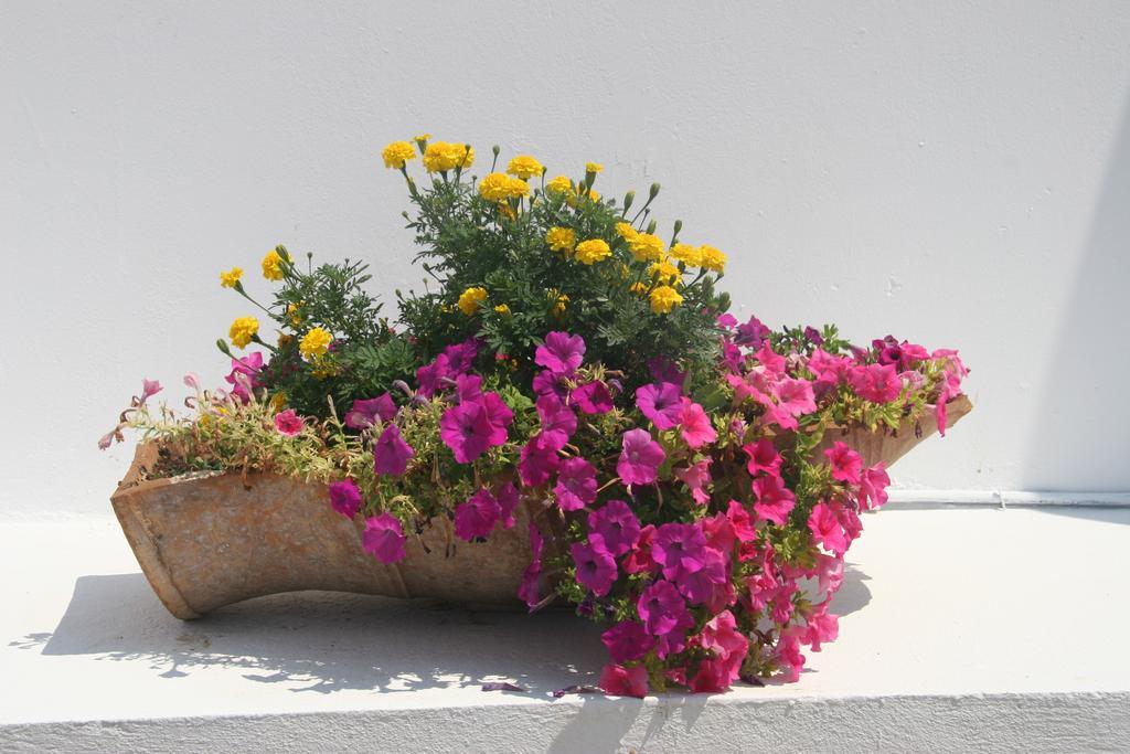 Ilis Villas Kastro-Kyllini エクステリア 写真